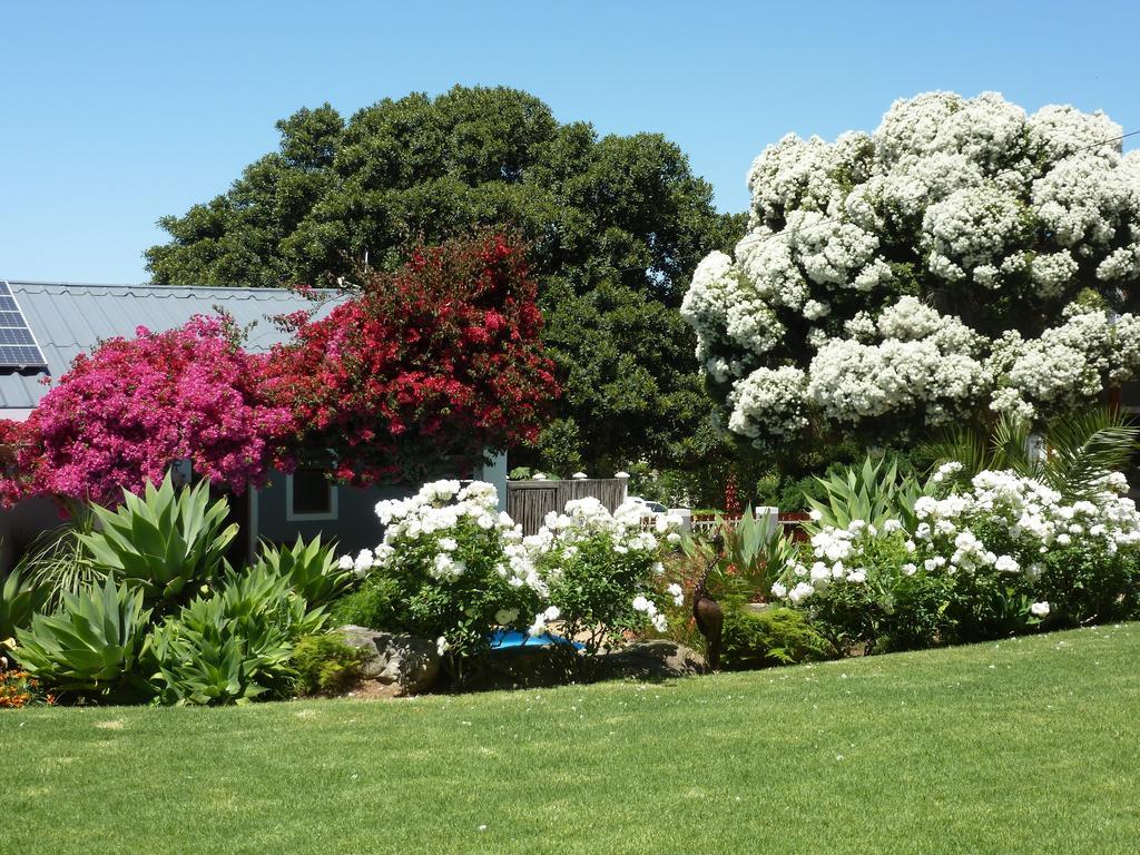Marula Lodge Swellendam Buitenkant foto