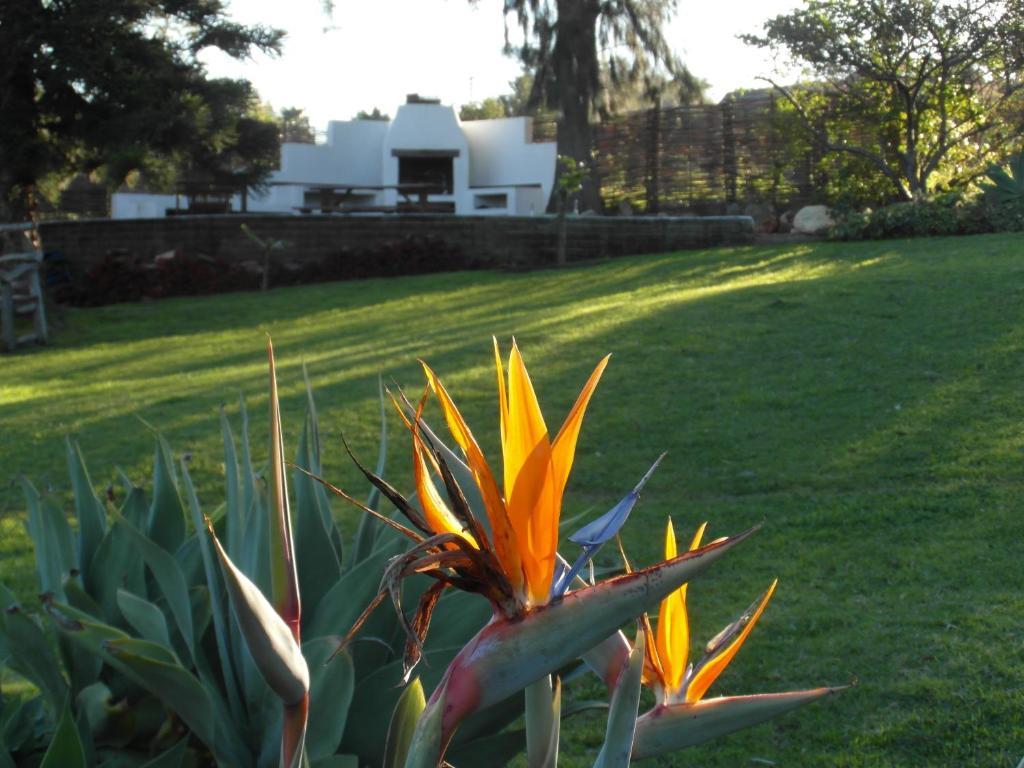 Marula Lodge Swellendam Buitenkant foto