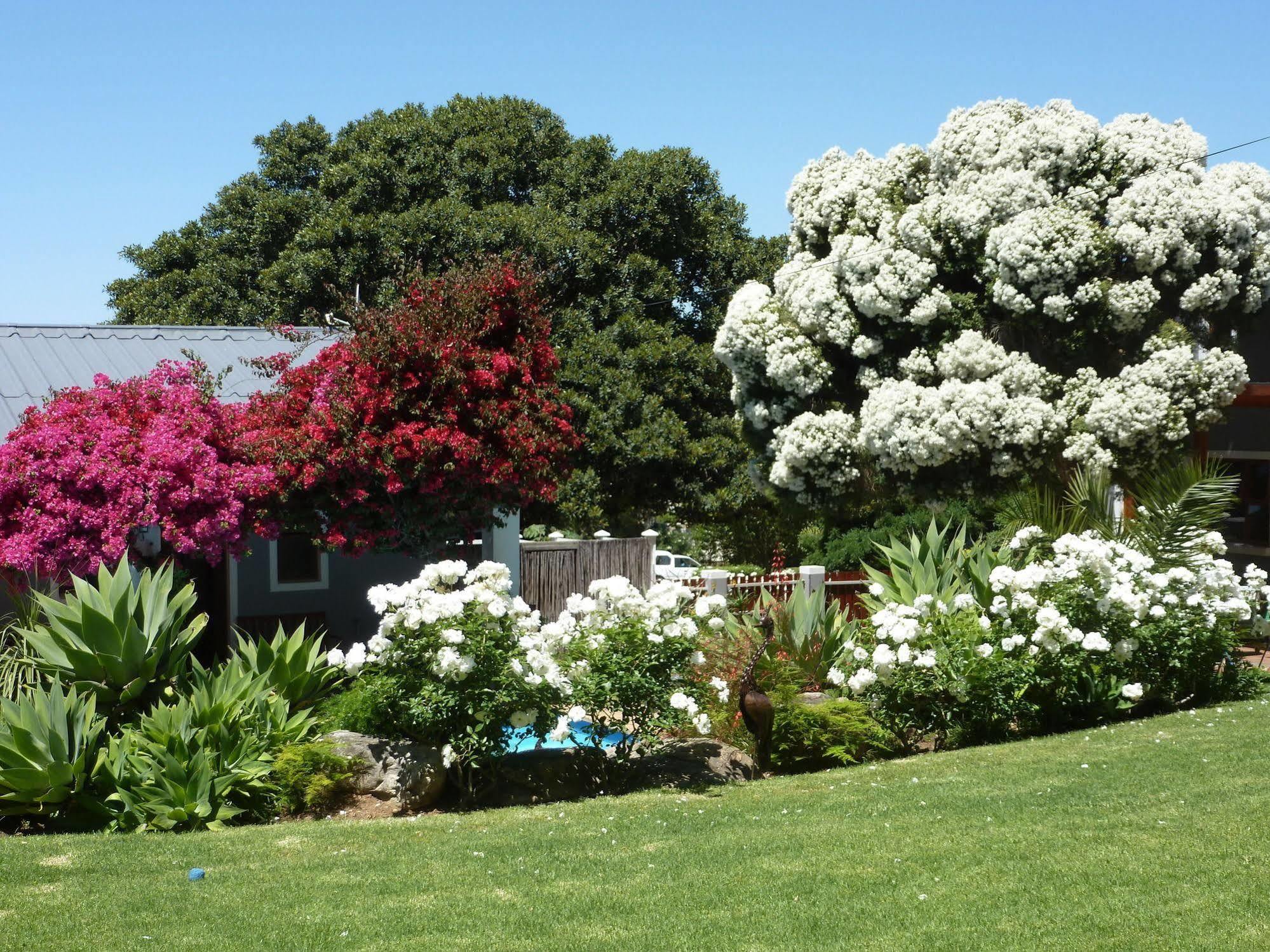 Marula Lodge Swellendam Buitenkant foto