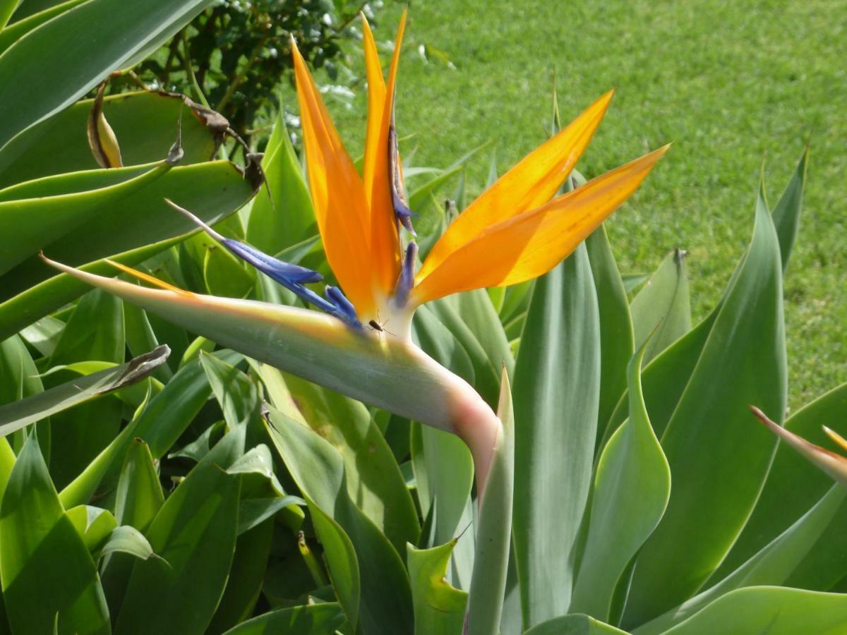 Marula Lodge Swellendam Buitenkant foto