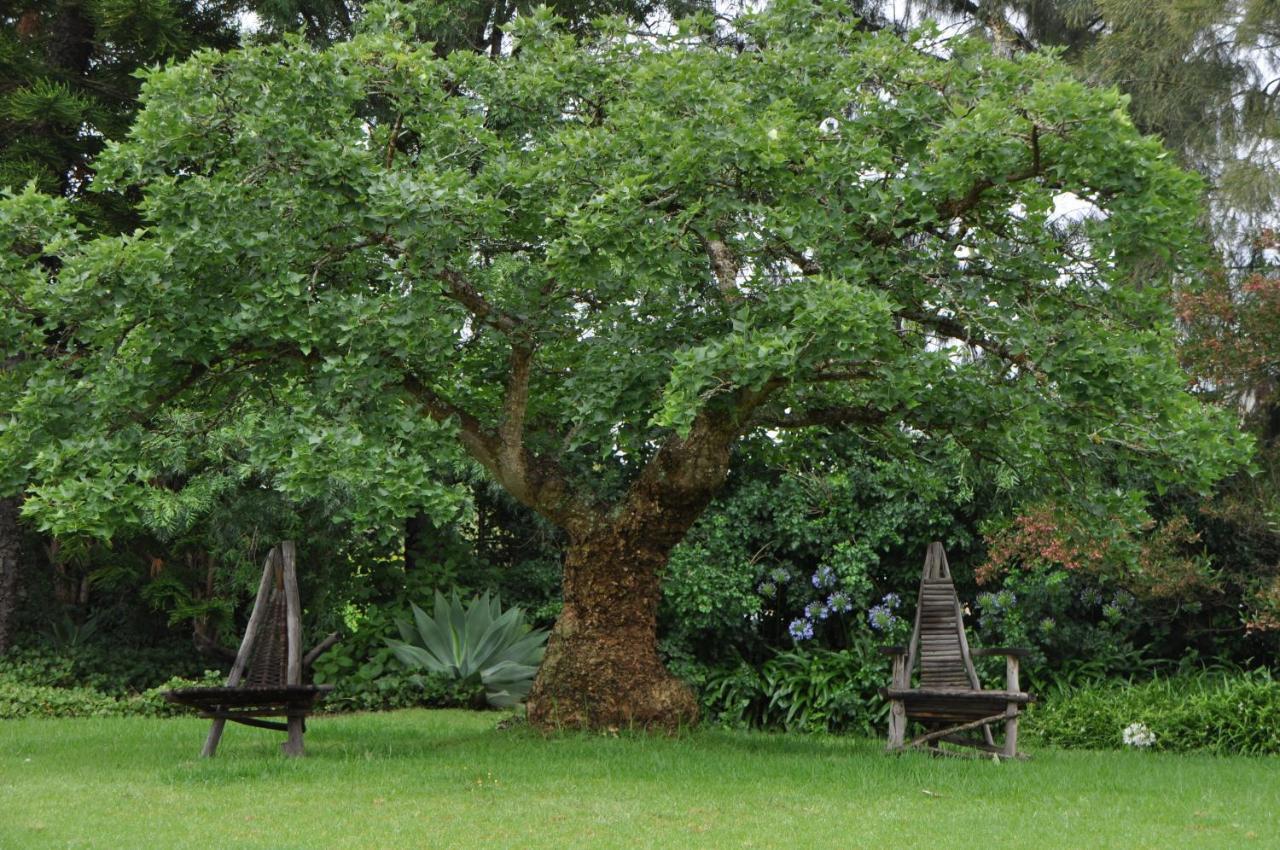 Marula Lodge Swellendam Buitenkant foto